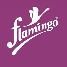  by Flamingo at Supply This | ECO FRAME BELT MEDIUM