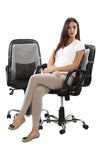 Buy original Tynor Back Rest - Universal for Rs. 996.45